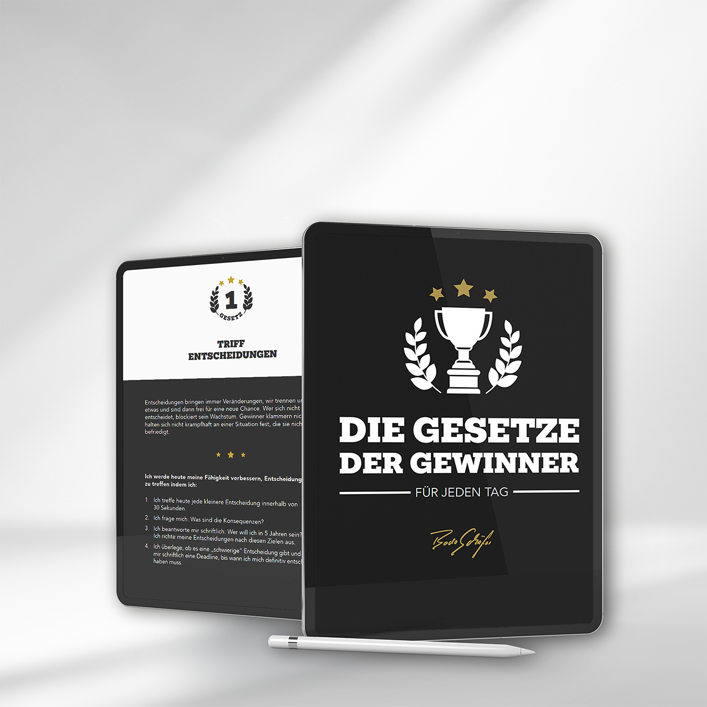 Workbook - Die Gesetze der Gewinner - eBook