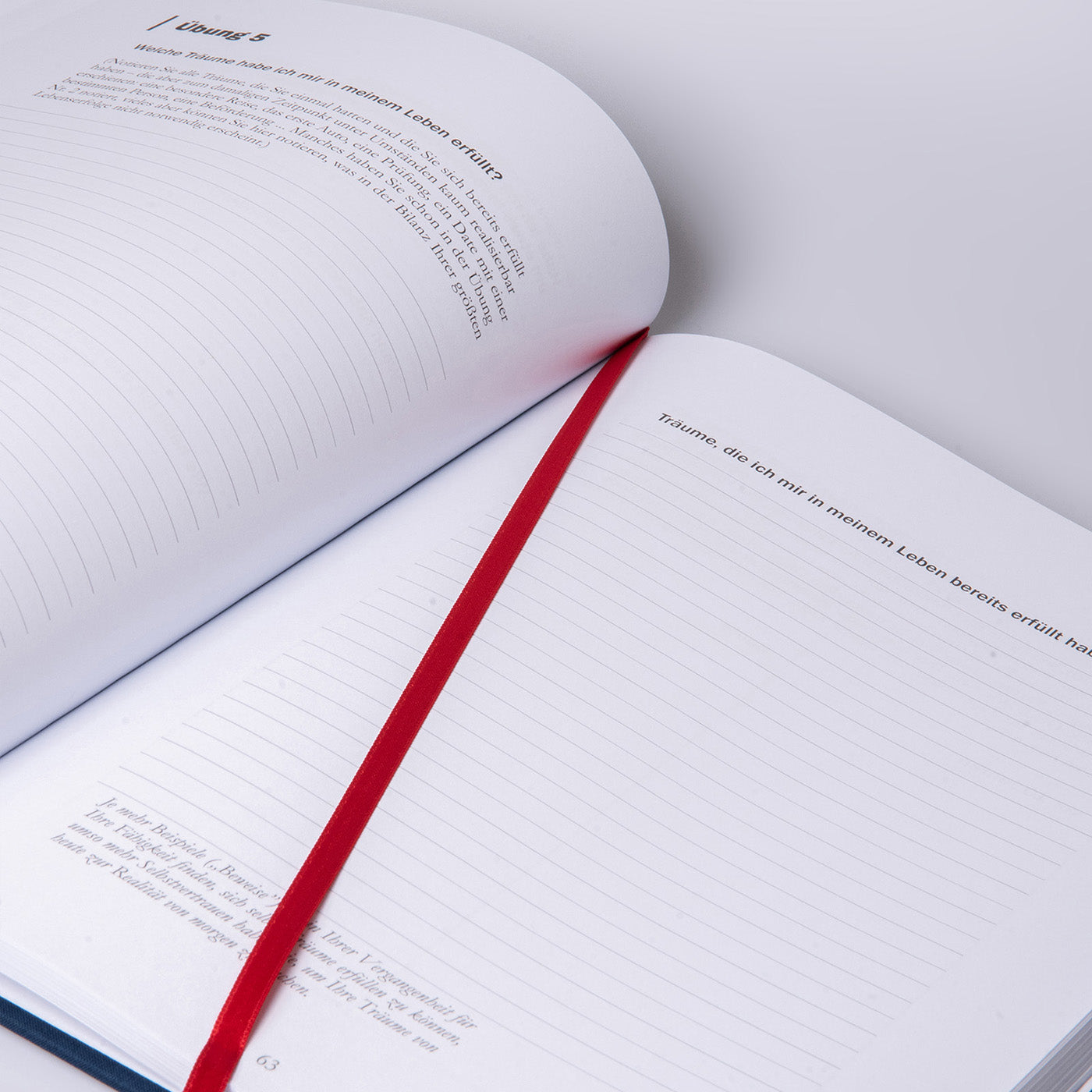 erfolgs-journal-details
