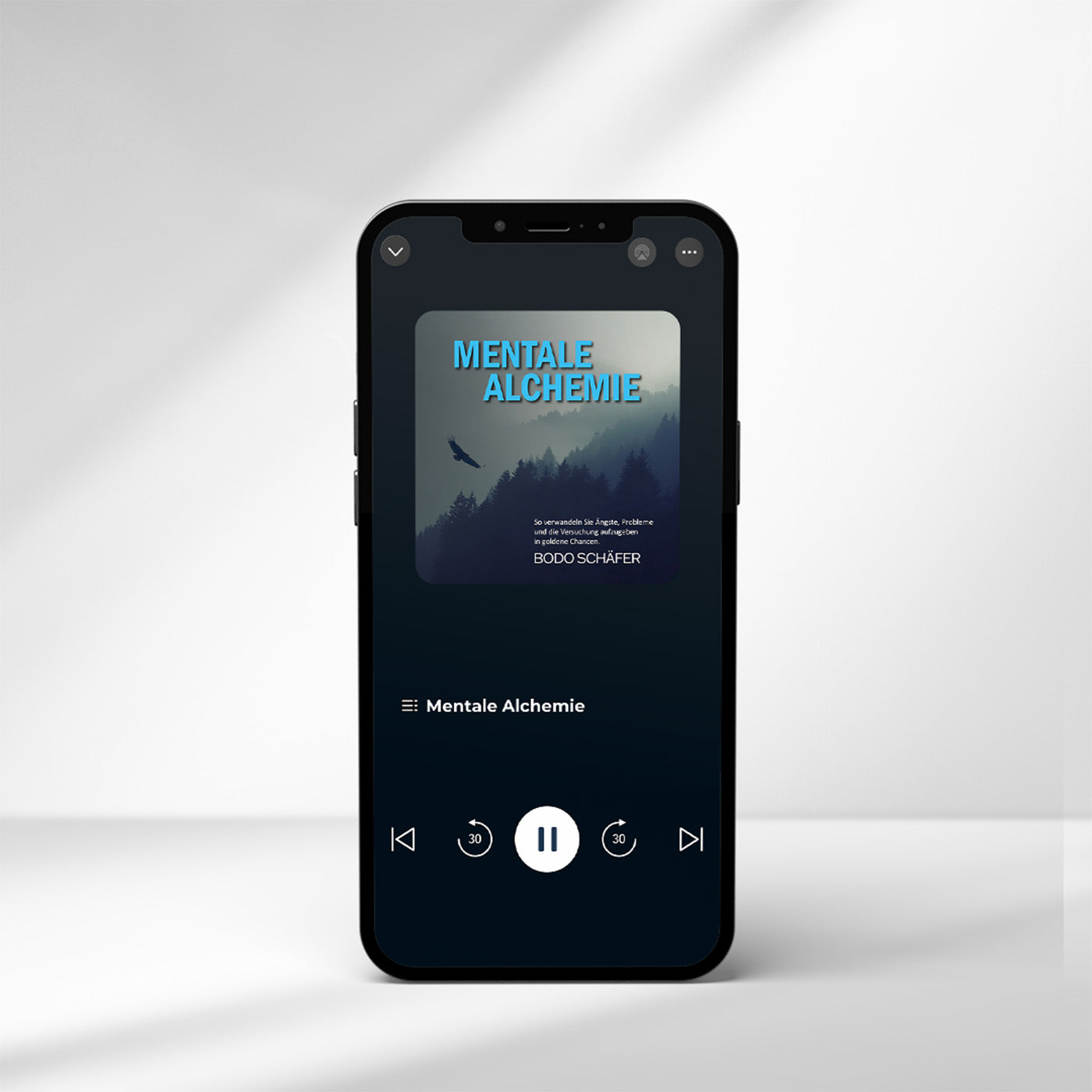 mp3 mentale alchemie